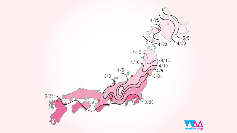 さくら開花前線